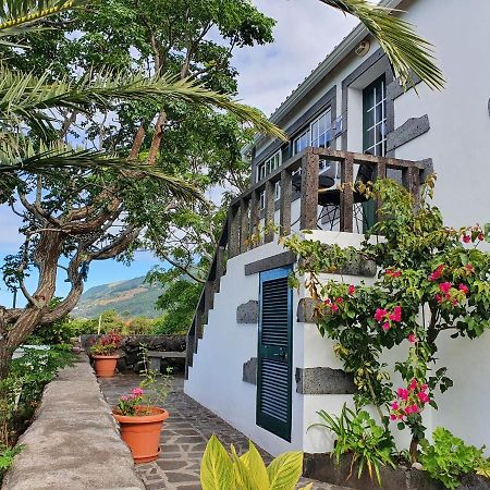Casa Do Gato Preto Villa Santo Amaro  Luaran gambar
