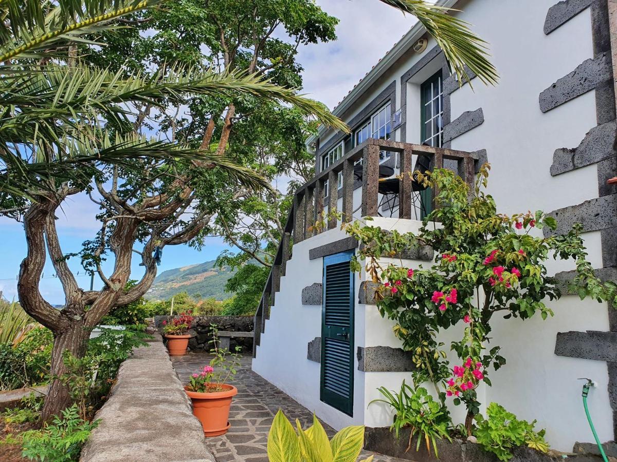 Casa Do Gato Preto Villa Santo Amaro  Luaran gambar